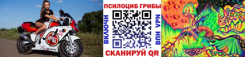 Галлюциногенные грибы GOLDEN TEACHER  Купить где  Невельск 